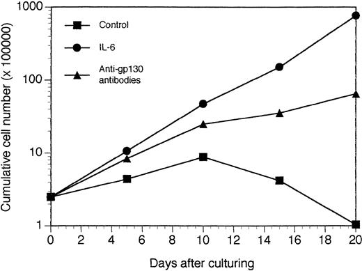 Fig. 8. Growth of XG-2 tumors in vitro. Tumors growing in SCID mice injected with XG-2 cells and agonist anti-gp130 MoAbs were put in suspension and the viable cells recovered by centrifugation on Ficoll hypaque. These cells were cultured at a concentration of 2.5 × 105 cells/mL in culture medium supplemented with 10 μg/mL of control murine IgG1 (control), 3 ng/mL of IL-6 (IL-6), or 10 μg/mL of a mixture of the B1 and I2 anti-gp130 MoAbs (5 μg each; anti-gp130 antibodies). Every 5 days, cells were counted and diluted at the initial cell concentration with fresh culture medium and the initial concentration of cytokine or antibodies. Results are the mean cumulative numbers of cells determined on six different culture wells.