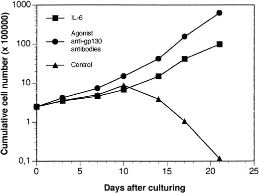 Fig. 10. In vitro growth of tumor cells harvested from SCID mice grafted with a patient's myeloma cells. The tumor growing in SCID mice grafted with myeloma cells from a patient with MM were put in suspension. Cells were cultured at a concentration of 5 × 105 cells/mL in culture medium supplemented with 10 μg/mL of control murine IgG1 (control), 3 ng/mL of IL-6 (IL-6), or 10 μg/mL of a mixture of the B-S12 and B-P8 anti-gp130 MoAbs (5 μg each; anti-gp130 antibodies). Every 5 days, cells were counted and diluted at the cell concentration with fresh culture medium and the initial concentration of cytokine or antibodies. Results are the mean cumulative numbers of cells determined on six different culture wells.