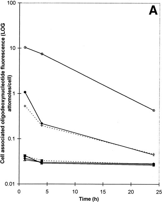 Fig. 3. (A) The decay of cell-associated ODN fluorescence after treatment of KYO1 cells with ODN conjugates or loading with SL-O. Symbols are the same as for Fig 2, except that the 5′CH-2B494AS-3′F and 5′VITE-2B494AS-3′F concentrations are 20 μmol/L. (B) Comparison of the decay of cell-associated ODN fluorescence in SL-O permeabilized and electroporated KYO1 cells. Details of the experimental conditions are given in the text. (▴) 20 μmol/L 5′F-2B494AS with SL-O; (+) 20 μmol/L 5′F-3B494AS with SL-O; (⧫) 20 μmol/L 5′F-2B494AS with electroporation; (▪) 20 μmol/L 5′F-3B494AS with electroporation.