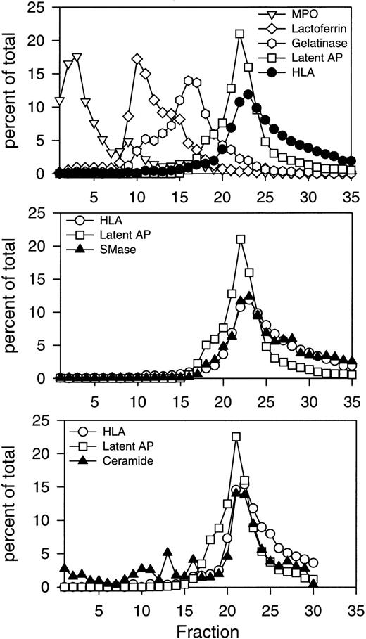 Fig. 1. Subcellular localization of neutral sphingomyelinase and ceramide in resting human PMNs. Isolated, DFP-treated PMNs at 1.5 to 5 × 107 cells/mL, were disrupted by nitrogen cavitation. Ten milliliters of postnuclear supernatant was layered on a three-layer Percoll density gradient and centrifuged as described in Experimental Procedures. The gradient was fractionated into 35 fractions by aspiration from the bottom of the tube. Fractions were assayed for neutral sphingomyelinase, myeloperoxidase (MPO), lactoferrin, gelatinase, HLA class I, and latent alkaline phosphatase (latent AP). Numbers are average of four experiments, normalized to a cell number of 3 × 108 cells, and expressed in percent of the total amount measured in the fractions 1 through 35. The subcellular distribution of ceramide is shown in the bottom panel. Ceramide was measured as described in Experimental Procedures after removal of Percoll by ultracentrifugation. The absolute value for neutral sphingomyelinase activity in the peak fraction was 65.5 pmol sphingomyelin hydrolyzed/min/mL. The peak value for ceramide was 0.44 nmol/mL. Results of one representative experiment are shown.