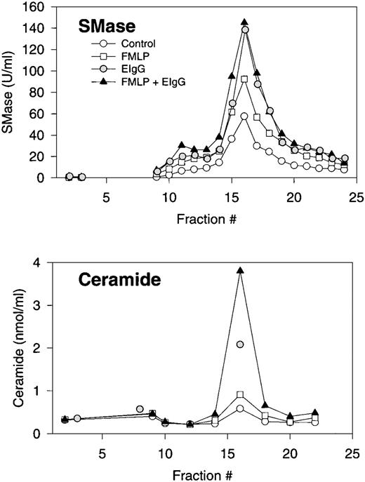 Fig. 3. Subcellular fractionation of resting, FMLP-activated, and phagocytosing human PMNs. Distribution profiles of neutral sphingomyelinase and ceramide. Isolated and DFP-treated PMNs were resuspended at 2 × 106/mL in PBS with CaCl2(1 mmol/L) and MgCl2 (1 mmol/L), and warmed to room temperature for approximately 1 hour. Cells were left untreated (control), stimulated with FMLP (100 nmol/L) for 10 minutes (FMLP), or stimulated with FMLP followed by addition of EIgG and incubation for 30 minutes (phagocytosis). Cells were resupended in disruption buffer, disrupted by nitrogen cavitation, and the postnuclear supernatant centrifuged on a two-layer Percoll density gradient. An equal number (ranging from 1.8 to 3.3 × 108 cells) of control cells, FMLP-activated cells, and phagocytosing, FMLP-activated cells were fractionated in each experiment. The gradients were fractionated into 25 fractions by aspiration from the bottom of the tubes, and fractions assayed for neutral sphingomyelinase (SMase) activity, and every second fraction assayed for ceramide after removal of Percoll by ultracentrifugation. Results are the average of three experiments, normalized to a cell number of 3 × 108.