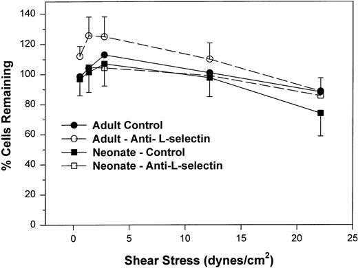 Fig. 3. The percent of adult (○, •) and neonatal (□, ▪) neutrophils initially attached to CHO cells expressing P-selectin in the absence of shear stress that remain interacting as shear stress is then applied and increased. Neutrophils are allowed to settle onto the monolayer for 2 minutes, at which point the flow is begun and increasing shear stress is applied every 20 seconds. The number of neutrophils that remain attached in the last 10 seconds before the next step up in shear stress is compared with the number of cells that had originally settled (percentage of interacting cells remaining). Neutrophils were left untreated (•, ▪) or were preincubated with anti–L-selectin MoAb, DREG 56 (○, □). Data are expressed as the mean ± SEM from 7 to 14 experiments.