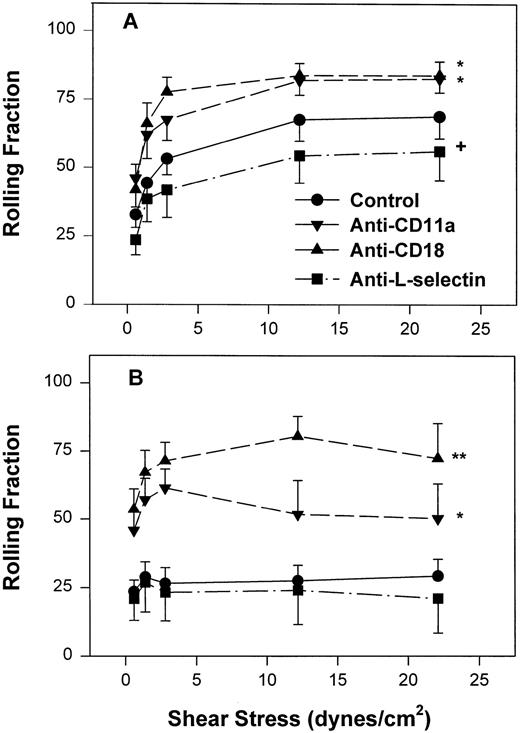 Fig. 4. Fraction of interacting adult (A) and neonatal (B) neutrophils that rolled on CHO-P-selectin after a 2-minute stationary contact period with increasing shear stress. Neutrophils were left untreated (•) or were preincubated with anti-CD11a MoAb, R7.1 (10 μg/mL; ▾), anti-CD18, R15.7 (10 μg/mL; ▴), or anti–L-selectin, DREG 56 (50 μg/mL; ▪). Data are expressed as the mean rolling fraction ± SEM from 7 to 14 experiments. *P < .005 compared with control neutrophils. +P < .05 compared with control. **P < .02 versus anti-CD11a–treated neutrophils.