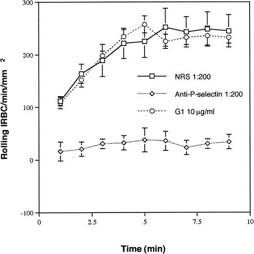 Fig. 1. Rolling of IRBC on immobilized soluble P-selectin in the presence of NRS, G1, a MoAb that inhibits neutrophil rolling on P-selectin, and an anti–P-selectin polyclonal Ab. Immobilized P-selectin was preincubated with each of the Ab at the concentrations indicated at 37°C for 30 minutes. The same concentration of Ab was maintained in the perfusate. Values represent the mean number of rolling cells ± SEM of 10 clinical P falciparum isolates studied.
