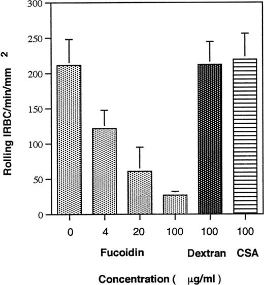 Fig. 3. Effect of fucoidin on IRBC rolling on immobilized soluble P-selectin. IRBC suspended in increasing concentrations of fucoidin, a sulfated homopolymer of fucose, in HBSS were infused over immobilized P-selectin. Dextran and chondroitin sulfate A, two other carbohydrates with no known interaction with P-selectin, were used as controls. Values represent the mean number of rolling cells ± SEM for 5 clinical P falciparum isolates studied.