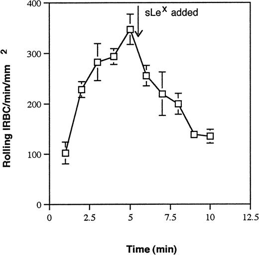 Fig. 5. Effect of the tetrasaccharide sialyl Lewisx(sLex) on IRBC rolling on immobilized soluble P-selectin. IRBC were infused over immobilized P-selectin until equilibrium was reached. sLex (2.5 mmol/L) was then added to the IRBC suspension. Values represent the mean number of rolling cells ± SEM for 3 parasite isolates studied.