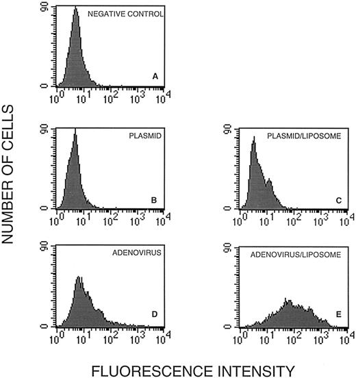 Fig. 3. GFP expression in human dendritic cells infected with pRSVGFP and Ad5RSVGFP in the absence and the presence of cationic liposomes. Cells in the gated region (Fig 2A) were analyzed for GFP fluorescence. They were untreated (A), treated with pRSVGFP in the absence (B) and in the presence of liposomes (C), or infected with Ad5RSVGFP in the absence (D) and in the presence of liposomes (E).