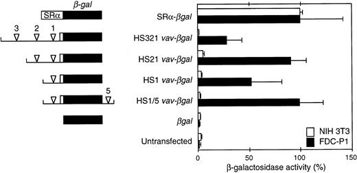 Fig. 4. Activity of β-gal reporter constructs in a stably transfected hematopoietic cell line (FDC-P1) and NIH3T3 fibroblasts.vav DNA fragments encompassing the indicated HS sites (arrowheads) were linked to the β-gal gene (lacZ) and a β-globin intron and polyadenylation signal (see the Materials and Methods). The unfilled box denotes vav 5′ untranslated sequences. Where included, the HS5 intronic site was placed 3′ of the reporter polyadenylation site. The β-gal activity in extracts from three to five independent pools of FDC-P1 transfectants and two to three pools of NIH3T3 transfectants (3 independent determinations per pool) was related to that of a pool transfected with a construct containing the SRα promoter (assigned 100% activity). Means (±SEM) of the results are shown.