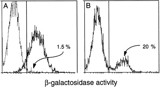 Fig. 7. Detection of β-gal+ cells in the blood of transgenic mice. FACS-gal analysis of viable peripheral blood leukocytes from (A) a (C57BL/6 × SJL) F1 negative control mouse (broken line) and a Rosa26 positive control (solid line) and (B) a HS21/5 vav-βgal transgenic mouse. Cells were analyzed for β-gal activity (represented on the X-axis by mean fluorescence units). The proportion of expressing cells was determined after setting the window to yield less than 5% β-gal+ for a negative control mouse run in parallel.