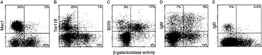 Fig. 8. Flow cytometric analysis of β-gal expression intransgenic bone marrow populations. The lineage of β-gal+ cells was determined by simultaneous analysis for the indicated lineage-specific surface markers (see the Materials and Methods): (A) Mac1, a myeloid cell marker; (B) the erythroid marker Ter119; (C) B220, a B-lymphoid marker; and (D) IgM and (E) IgD, markers of mature B lymphocytes. Less than 1% of lineage marker-positive cells in the negative control bone marrow were β-gal+.