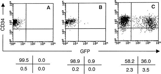 Fig. 3. GFP is expressed by cytokine-stimulated CD34++Lin− UCB cells transduced with MFG-GFP retroviral supernatant. Flow cytometric analysis of the progeny of CD34++Lin− UCB cells after culture for 3 days, either without cytokines and retroviral supernatant (A), without cytokines but with retroviral supernatant (B), or with both cytokines (100 ng/mL SCF and 500 U/mL IL-3) and retroviral supernatant (C). Retroviral supernatant was added after 1 day of culture. Dot plots shows CD34 PE staining versus GFP expression gated on live cells. The values in the crosses indicate the percentage of cells present in the corresponding quadrant. Quadrants were set to include 99.5% of the cells from staining showed in (A) in the upper left quadrant. The data shown are representative of six independent experiments.