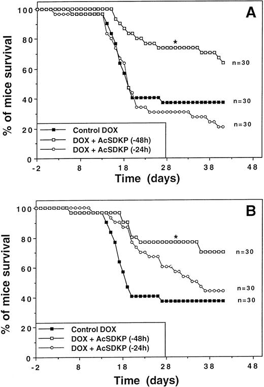 Fig. 2. Improvement of survival with AcSDKP in DOX-treated mice. Representative experiments showing the survival rates of mice (n = 30) treated with DOX either alone (closed squares) or in conjunction with AcSDKP given either 24 (open circles) or 48 hours (open squares) before the first DOX injection. (A) Continuous administration of AcSDKP (7.2 μg) by minipumps at a rate of 100 ng/h for 72 hours. (B) Discontinuous administration of AcSDKP in six injections (1.2 μg/injection) given twice daily beginning at the time indicated. The asterisk denotes a significant difference in day-30 survival compared with the control group treated with DOX alone (P < .05; Fisher's exact test).