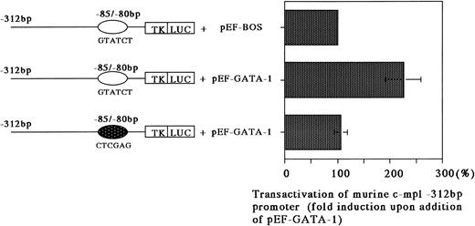 Fig. 6. Transactivation of a minimal TK promoter containing the murine c-mpl GATA-binding site. Jurkat cells were transfected with either pTKLuc/m c-mpl containing a wild-type GATA-binding site, or pTKLuc/m c-mpl containing a mutated GATA-binding site, bp −85 to −80, with and without 10 μg of pEF-hGATA-1. The results are expressed as the average fold increase in ability on addition of pEF-hGATA-1. The error bars represent the standard error of the mean of at least four experiments. Luciferase assay was normalized to β-galactosidase produced by a cotransfected CMV-β Gal plasmid.