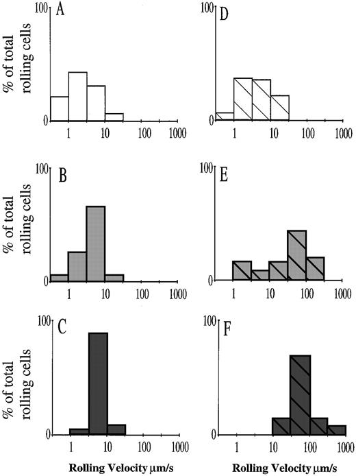 Fig. 3. Effects of sLex and CGP69669A on leukocyte rolling velocity in TNFα-stimulated mouse cremaster muscle. Velocity distributions are shown for leukocytes rolling in TNFα-stimulated cremaster muscle of control IgG-treated mice (A), and for leukocytes rolling in TNFα-stimulated cremaster of mice treated with (B) sLex (100 mg/kg), (C) CGP69669A (100 mg/kg), (D) RB40.34 (10 μg), (E) RB40.34 (10 μg) + sLex (100 mg/kg), and (F) RB40.34 (10 μg) + CGP69669A (100 mg/kg). Visibly interacting leukocytes were assigned to groups rolling at <1 μm/s, 1 to 3 μm/s, 3 to 10 μm/s, 10 to 30 μm/s, 30 to 100 μm/s, 100 to 300 μm/s, and 300 to 1,000 μm/s. A log scale was selected to allow direct comparison of rolling over a wide range of velocities. Each histogram represents at least 40 individual cell velocities measured in 8 to 10 cremasteric venules from 3 or 4 mice, except for the RB40.34 + CGP69669A–treated group, which represents fewer cells (15 cell velocities in 9 venules from 4 mice), since rolling flux % was reduced by treatment.