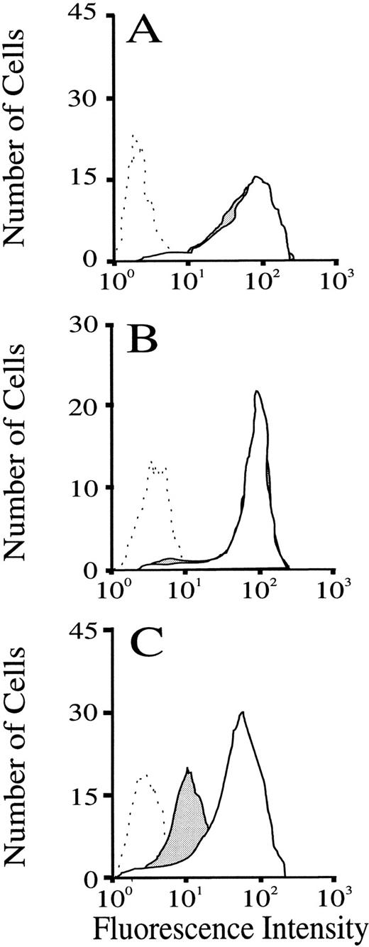Fig. 6. Flow-cytometric analysis of the effect of sLex and CGP69669A on granulocyte expression of sLex. Blood samples drawn from mice immediately before and 2 minutes after injection of either sLex (100 mg/kg) or CGP69669A (100 mg/kg) were labeled and gated as described in the Methods. Lack of effect of sLex and CGP69669A injections on granulocyte expression of L-selectin is shown in A and B, respectively (Dashed line, negative control staining; solid line + no fill, cells drawn before sLex or CGP69669A; solid lines + solid fill, cells drawn 2 minutes after injections of sLex or CGP69669A). Positive shedding of L-selectin by granulocyte activation with fMLP (10 μm) is shown in C (dashed line, staining with negative control antibody; solid line + no fill, positive Mel-14 staining; solid line + solid fill, Mel-14 staining following fMLP treatment).
