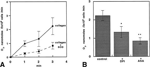 Fig. 8. O2− production in platelets stimulated with collagen. (A) Time course of O2− production estimated by lucigenin chemoluminescence in platelets stimulated with 1 μg/mL collagen. Data are expressed as the mean ± SEM of five separate experiments. (B) Bar groups showing O2−production estimated by lucigenin 3 minutes after stimulation with 1 μg/mL collagen in platelets incubated with or without 50 μmol/L DPI or 100 μmol/L ASA. Data are expressed as the mean ± SEM of five separate experiments (*P < .05; **P < .01).