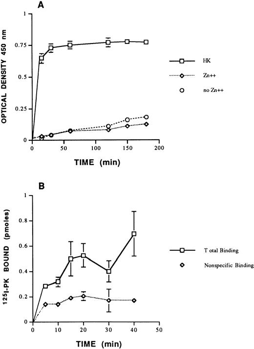 Fig. 1. Binding of PK to HUVEC. (A) The effect of HK and Zn+2 on biotin-PK binding to HUVECs. HUVECs were incubated with 20 nmol/L HK (□) for 1 hour at 37°C in the presence of 50 μmol/L Zn+2. Unbound HK was removed and biotin-PK (20 nmol/L) was added in HEPES-Tyrode's binding buffer containing Zn+2 for variable times. In other wells, HUVECs were incubated with biotin-PK (20 nmol/L) for variable times at 37°C in the absence of HK, but in the presence (⋄) or absence (○) of Zn+2. The specific binding of biotin-PK bound is shown. The data presented represent the mean ± SEM of three experiments. (B) Binding of 125I-PK (20 nmol/L) to HUVECs in suspension in HEPES-Tyrode's binding buffer containing 50 μmol/L Zn+2 in the absence (total binding; □) or presence (nonspecific binding; ⋄) of 50-fold molar excess PK. The points presented represent the mean ± SEM of three experiments. The absence of standard error bars at some points indicates that the variation was too low to indicate visually.