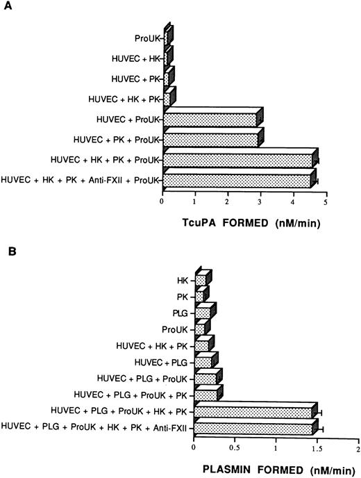 Fig. 8. The influence of HK and PK on pro-urokinase and plasminogen activation. (A) Pro-urokinase activation. Empty microtiter plate wells or wells coated with a monolayer of endothelial cells (HUVECs) were incubated with HK (20 nmol/L) or buffer for 1 hour. Unbound HK was removed and the cells were incubated with PK (20 nmol/L) for another 1 hour and washed. Pro-UK (20 nmol/L) and 0.6 mmol/L S2444 were added to empty wells or wells coated with HUVECs and hydrolysis was monitored continuously over 75 minutes at 37°C. In one set of experiments, 0.4 mg/mL of a neutralizing antibody to FXII was added along with the PK. Formation of tcuPA was determined by comparing substrate hydrolysis on cells with known concentrations of soluble tcuPA. The data presented are the mean ± SEM of three experiments. (B) Plasminogen activation. Empty microtiter plate wells or wells coated with a monolayer of HUVECs were incubated for 1 hour with 1 μmol/L plasminogen (PLG) before 0.3 mmol/L S2251 was added either alone or in the presence of 2 nmol/L Pro-UK. In other experiments, HUVEC-coated wells were incubated for 1 hour with 20 nmol/L HK. After removal of the HK, the wells were incubated with 20 nmol/L PK for another 1 hour. After removal of the excess PK, the cells were incubated with 1 μmol/L plasminogen (PLG) for a third hour. As indicated, in one case, 0.4 mg/mL of a neutralizing antibody to FXII was added along with the PK. Hydrolysis of the substrate was measured over 210 minutes at 37°C. Plasmin formation was determined using a standard curve made by adding known amounts of purified plasmin to S2251 (see the Materials and Methods). The data shown are mean ± SEM of four independent experiments. The absence of standard error bars in some columns indicates that the variation was too little to portray visually.