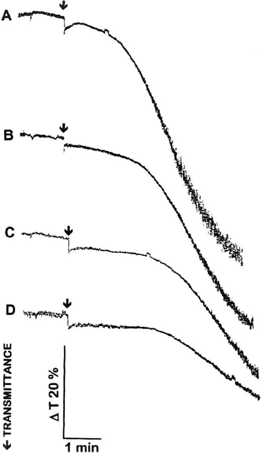 Fig. 3. Pretreatment of platelets with chondroitinase ABC inhibits HIT serum-induced platelet aggregation. Platelets, 800 × 109/L, were preincubated with 0 (A), 0.2 (B), 0.5 (C), and 1 (D) μ/mL chondroitinase ABC at 37°C for 30 minutes before stimulation with HIT sera. Agonists were added at time points indicated by arrows. A total of 10 μg/mL PF4 and 0.5 U/mL heparin was added 1 minute before adding HIT sera as agonists. The aggregation curves are representative of the results from three experiments with HIT sera 1, 3, and 4 and platelets from three different donors.