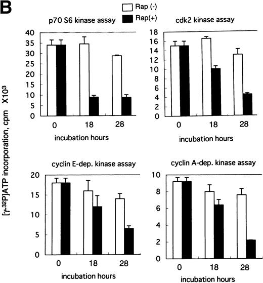 Fig. 3. Effect of Rap on the cell growth (A), cdk2 kinase activity, p70 S6 kinase activity, cyclin E- and A-dependent kinase activity (B), cdk4 kinase activity, cdk6 kinase activity. cyclin D2- and D3-dependent kinase activity (C) in exponentially growing ED-40515(−) cells. (A) ED-40515(−) cells were incubated with or without 10 nmol/L Rap for 28 hours, then fixed with 70% ethanol for 1 hour and stained with 50 μmol/L acridine orange in PBS/0.1% glucose for 1 hour. The relative DNA content was determined by a flow cytometric analysis. (B) ED-40515(−) cells (4 × 106 cells) cultured with or without 10 nmol/L Rap for the indicated times were harvested and immunoprecipitated with anti-cdk2 antibody, anti-p70 S6 kinase antibody, anti-cyclin E antibody, or anti-cyclin A antibody. The kinase activity of the immunoprecipitates was assayed with histone H1 or S6 peptide as a substrate. Each column represents the average of triplicate samples with ± SD. (C) ED-40515(−) cells (4 × 106 cells) cultured with or without 10 nmol/L Rap for the indicated times were harvested and immunoprecipitated with anti-cdk4 antibody, anti-cdk6 antibody, anti-cyclin D2 antibody, or anti-cyclin D3 antibody. The kinase activity of the immunoprecipitates was assayed with GST-Rb as a substrate. Each column represents the average of triplicate samples ± SD.