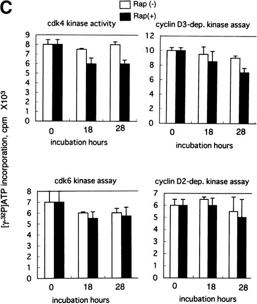 Fig. 3. Effect of Rap on the cell growth (A), cdk2 kinase activity, p70 S6 kinase activity, cyclin E- and A-dependent kinase activity (B), cdk4 kinase activity, cdk6 kinase activity. cyclin D2- and D3-dependent kinase activity (C) in exponentially growing ED-40515(−) cells. (A) ED-40515(−) cells were incubated with or without 10 nmol/L Rap for 28 hours, then fixed with 70% ethanol for 1 hour and stained with 50 μmol/L acridine orange in PBS/0.1% glucose for 1 hour. The relative DNA content was determined by a flow cytometric analysis. (B) ED-40515(−) cells (4 × 106 cells) cultured with or without 10 nmol/L Rap for the indicated times were harvested and immunoprecipitated with anti-cdk2 antibody, anti-p70 S6 kinase antibody, anti-cyclin E antibody, or anti-cyclin A antibody. The kinase activity of the immunoprecipitates was assayed with histone H1 or S6 peptide as a substrate. Each column represents the average of triplicate samples with ± SD. (C) ED-40515(−) cells (4 × 106 cells) cultured with or without 10 nmol/L Rap for the indicated times were harvested and immunoprecipitated with anti-cdk4 antibody, anti-cdk6 antibody, anti-cyclin D2 antibody, or anti-cyclin D3 antibody. The kinase activity of the immunoprecipitates was assayed with GST-Rb as a substrate. Each column represents the average of triplicate samples ± SD.