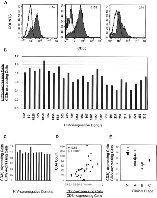 Fig. 4. CD3ζ is downmodulated in circulating lymphocytes from most HIV-infected donors. (A) The isotype-matched control antibody histogram is subtracted from the CD3ζ histogram (shaded) to obtain the number of ζ+ cells. In normal donor P14 and asymptomatic healthy HIV-infected subject 6159, the number of ζ-staining cells is comparable with the number of cells staining for CD3. However, in donor no. 214, who has oral hairy leukoplakia and thrush, CD3ζ expression is downmodulated. (B) CD3ζ staining for PBLs from 28 HIV-seropositive donors, graphed in order of declining CD4 counts. The dashed lines represent the normal range (C). (D) The percent of T cells that do not stain for ζ increases as the CD4 count falls. (E) CD3ζ downmodulation correlates with CDC disease stage. The ratio for stage A donors, 0.80 ± 0.14, is significantly lower than that of HIV-seronegative healthy donors (*P < .00001) but significantly higher than that of symptomatic stage B donors 0.55 ± 0.09 (**P < .001).