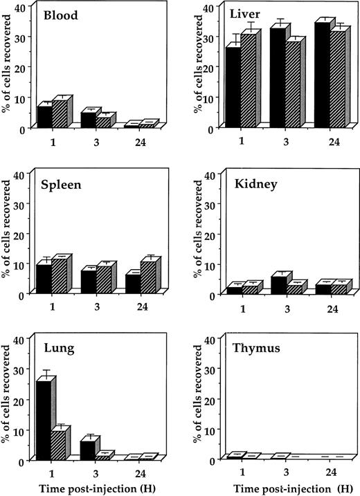 Fig. 2. In vivo migration assays of 164T2 and 267T2 lymphoma cells. Cells were labeled with 111In and 106cells were injected intravenously. Radioactivity was counted in the organs at different times and expressed as the percentage of total radioactivity injected. Data represent the mean values ± standard deviation of five determinations based on three independent experiments. (▪) 164T2 cells; (□) 267T2 cells.