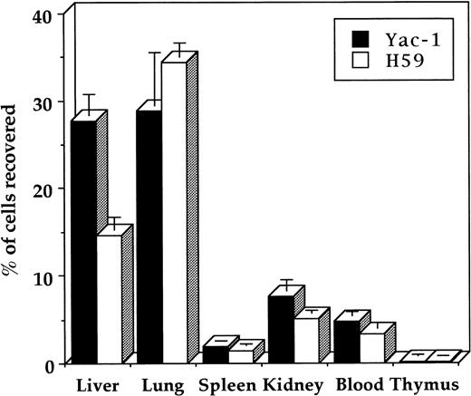 Fig. 3. In vivo migration assays of YAC-1 and H59 cells were performed as described. Radioactivity was counted in the organs at 3 hours. Data represent the mean values ± standard deviation of five determinations based on two independent experiments.