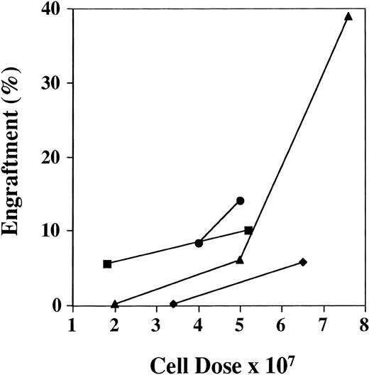 Fig. 3. Effect of cell dose on engraftment. The graph shows the increased engraftment in cohorts of mice receiving different cell doses from the same patient sample. Results are the mean BM engraftment for each cohort. Patients no. (▪) 2, (⧫) 3, (•) 4, and (▴) 8.