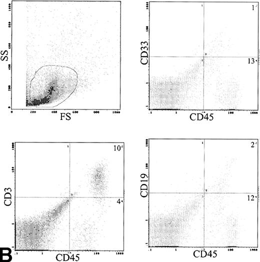 Fig. 6. (A) Immunophenotype of BM specimen at day 42 showing high engraftment of predominantly myeloid cells with lower levels of CD3 and CD19 cells. (B) Immunophenotype of spleen cells from the same mouse showing virtually exclusive T-cell engraftment.