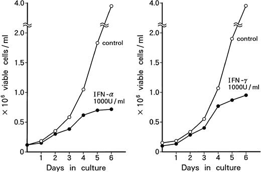Fig. 2. Time course of growth-suppressive effects of IFN-α or IFN-γ on KT-1 cells. Cultures were initiated at 0.1 × 106 cells/mL. Cultures were exposed to either IFN-α or IFN-γ for time indicated. Results are comparable with those in 3 experiments.