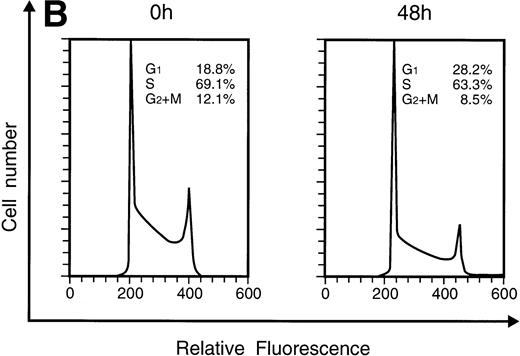 Fig. 5. Flow-cytometric analysis of KT-1 cells for analysis of cell-cycle distribution. KT-1 cells were cultured with (A) IFN-α (1,000 U/mL) or (B) IFN-γ (1,000 U/mL) for indicated times. Results are comparable in 3 experiments.