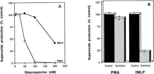 Fig. 5. Effects of genistein and staurosporine on PMA and fMLP stimulation of human neutrophils. (A) Neutrophils (106) were pretreated without or with increasing concentrations of staurosporine for 20 minutes before stimulation with 100 ng/mL PMA for 20 minutes (○) or 0.5 μmol/L fMLP for 5 minutes (•) and determination of SOD-inhibitable cytochrome c reduction. (B) Neutrophils (106) were pretreated with or without 100 μmol/L genistein before stimulation with 100 ng/mL PMA for 20 minutes or 5 × 10-7 mol/L fMLP for 5 minutes and determination of SOD-inhibitable cytochrome c reduction. Results are the average of duplicate determinations. Control absorbances were: (A) unstimulated cells, 0.336 ± 0.013; PMA-treated, 0.931 ± 0.005; fMLP-treated, 0.754 ± 0.008. (B) Unstimulated cells, 0.386 ± 0.005; PMA-treated, 0.606 ± 0.015; fMLP-treated 0.540 ± 0.007.
