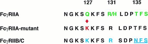 Fig. 2. Sequence comparison of the amino acids from position 124 to 137 for FcγRIIA wild-type (Q127, green), the described mutation (K127, red diamond), and FcγRIIB/C. Note that NFS (blue, underlined) at 135-137 is a site for N-linked glycosylation in FcγRIIB/C. There is a conservative L (IIA) to S (IIB/C) change at position 132.
