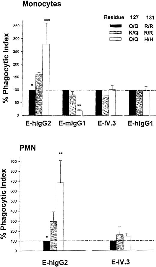 Fig. 3. Monocyte (A) and PMN (B) internalization of erythrocytes coupled with specific human IgG myeloma proteins (E-hIgG1and E-hIgG2), murine IgG1 myeloma protein (E-mIgG1), or anti-FcγRII MoAb IV.3 (E-IV.3). The phagocytic index shown for each erythrocyte probe reflects simultaneous experiments with phagocytes from individuals of each of three FcγRIIA genotypes: Q/Q127, H/H131; Q/Q127, R/R131; and K/Q127, R/R131. The % Phagocytic Index = (PIdonor/ PIQ/Q127, R/R131) × 100. Values represent the mean ± SD of two to five experiments comparing the K127 variant with different H/H131 and R/R131 homozygotes. % PI were compared using the paired Student's t-test. *P< .05, K/Q127, R/R131 vQ/Q127, R/R131; **P < .01, K/Q127, R/R131 v Q/Q127, H/H131; ***P = .051, K/Q127, R/R131 v Q/Q127, H/H131.