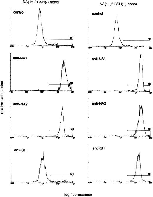Fig. 1. Reactivity of neutrophils from an NA(1+,2+)SH(+) donor and an NA(1+,2+)SH(−) control with human anti–NA1- and anti–NA2-FcγRIIIb antisera and the SH antiserum. AB serum was used as control.