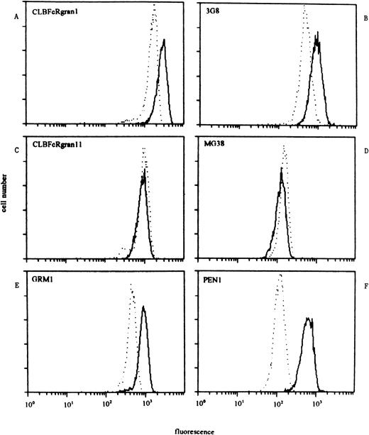Fig. 5. Staining pattern of NA(1+2+)SH(−) (dashed lines) and NA(1+2+)SH(+) neutrophils (continuous lines) with a panel of CD16 MoAbs. One representative experiment of three is shown. (A and B) The reactivity of SH(+) neutrophils with anti–pan-FcγRIII MoAbs (CLBFcRgran1 and 3G8) was higher than that of SH(−) neutrophils. (C and D) The reactivity of both types of neutrophils with NA1-FcγRIIIb–specific MoAbs CLBFcRgran11 and MG38 was comparable. (E) Reactivity of NA2-FcγRIIIb–specific MoAb GRM1 was approximately twice as high with SH(+) neutrophils compared with SH(−) neutrophils. (F) NA2-FcγRIIIb–specific MoAb PEN1 showed a reactivity with SH(+) neutrophils that was sixfold higher compared with the reactivity of SH(−) neutrophils.