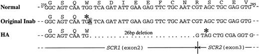 Fig. 2. Sequencing analysis of DAF cDNA in H.A. Ten clones with identical sequence were obtained from the cDNA of H.A., and parts of the cDNA and deduced amino acid sequences of DAF from normal control and H.A. were compared with the sequence of normal control and the original Inab phenotype propositus. A 26-bp nucleotide deletion was identified in the cDNA derived from H.A. at the 3′ end of exon 2. The deletion resulted in a reading frame shift and generation of a stop codon immediately downstream from the deletion.