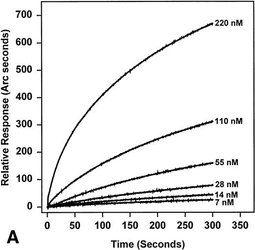 Fig. 3. Concentration dependence of the association of antibodies to DCLHb (A) and plot of kobs versus DCLHb concentration (B).