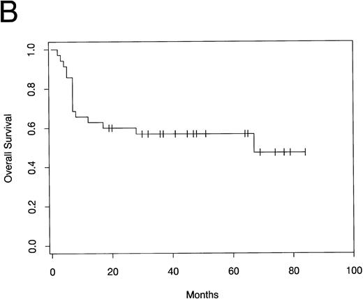 Fig. 1. (A) PFS and (B) overall survival in patients with mediastinal large-cell lymphoma following ABMT.
