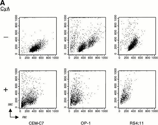 Fig. 2. CyA induces apoptosis in ALL cells. The T-lineage ALL cell line CEM-C7 and the B-lineage ALL cell lines OP-1 (carrying the Philadelphia chromosome) and RS4;11 (with MLL gene rearrangements) were incubated with CyA (10 μmol/L) or the vehicle (ethanol 0.1%) for 48 hours. (A) Flow-cytometric dot plots illustrate changes in cell light-scatter properties typical of apoptosis caused by exposure to CyA. These consisted of decreased cell size (forward scatter, FSC; x-axis) and increased cell granularity (side scatter, SSC; y-axis). (B) Isometric contour plots illustrate binding of Annexin-V to phosphatidyl serine residues on the cell membrane (a feature of apoptosis) and propidium iodide labeling due to cell membrane permeabilization caused by CyA. (C) In all 3 cell lines, CyA induced a DNA ladder of a multiple of 180 base pairs, characteristic of apoptosis. Molecular mass markers are indicated.