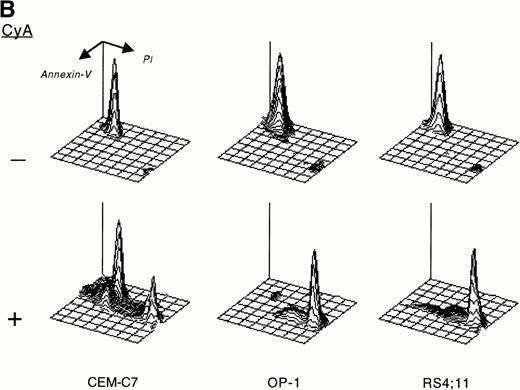 Fig. 2. CyA induces apoptosis in ALL cells. The T-lineage ALL cell line CEM-C7 and the B-lineage ALL cell lines OP-1 (carrying the Philadelphia chromosome) and RS4;11 (with MLL gene rearrangements) were incubated with CyA (10 μmol/L) or the vehicle (ethanol 0.1%) for 48 hours. (A) Flow-cytometric dot plots illustrate changes in cell light-scatter properties typical of apoptosis caused by exposure to CyA. These consisted of decreased cell size (forward scatter, FSC; x-axis) and increased cell granularity (side scatter, SSC; y-axis). (B) Isometric contour plots illustrate binding of Annexin-V to phosphatidyl serine residues on the cell membrane (a feature of apoptosis) and propidium iodide labeling due to cell membrane permeabilization caused by CyA. (C) In all 3 cell lines, CyA induced a DNA ladder of a multiple of 180 base pairs, characteristic of apoptosis. Molecular mass markers are indicated.