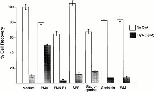 Fig. 3. CyA-induced apoptosis is suppressed by phorbol myristate acetate (PMA). B-lineage ALL cell line NALM6 was incubated for 1 hour with the compounds indicated before addition of CyA (5 μmol/L). After 48 hours of culture, the number of viable cells in cultures with and without CyA was compared. Only preincubation with PMA (1 ng/mL) inhibited CyA-induced apoptosis, while fumonisine B1 (FMN B1, 50 μmol/L), sphingosine 1-phosphate (SPP, 10 μmol/L), staurosporine (3 μmol/L), genistein (10 μmol/L), and wortmannin (WM, 100 nmol/L) had no effect. At higher concentrations, these compounds were markedly toxic. Bars represent the mean ± SD of 4 measurements per test.