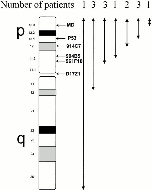 Fig. 4. Extent of 17p deletion analyzed by FISH using 5 markers spanning 17p and a chromosome 17 centromeric probe (D17Z1) in the 14 patients with confirmed 17p deletion. The deletion involved the p53 gene in all cases except one, but this patient (patient no. 13) had also monosomy 17, and therefore loss of one p53 allele. The proximal breakpoint was in 17q in 3 patients, as shown by deletion of D17Z1 probe, and located in 17q11 by conventional cytogenetic analysis. (FISH results in patients no. 8 and 9, where 17p deletion was not confirmed, are excluded from this figure).