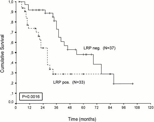 Fig. 2. Patients treated with melphalan, either at conventional dose and combined with prednisone or administered as an intensified (70/140 mg/m2 IV). Probability of survival from the start of treatment.