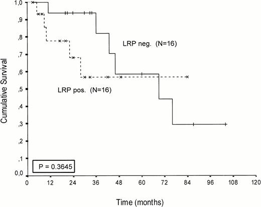 Fig. 4. Patients treated with IV intensified melphalan (70/140 mg/m2 IV). Probability of survival from the start of treatment.