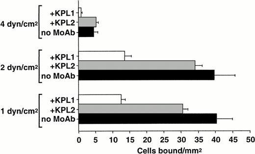Fig. 3. Shear stress-dependent contribution of PSGL-1 to neutrophil capture by L-selectin. Neutrophils (0.5 × 106/mL) were treated with either MoAb KPL1 (10 μg/mL) or KPL2 ascites (1:500) and perfused over a range of wall shear stresses through a parallel plate flow chamber in which dilutions of human purified L-selectin (1:5; 170 sites/μm2) were adsorbed to the lower wall. Numbers of bound cells were quantitated from 30 fields of view after 1 minute of continuous flow at each shear stress. Mean ± SD of bound cells/mm2 in multiple fields from two independent experiments.