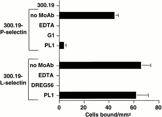 Fig. 5. L-selectin transfectants roll on an HL-60 lysate partially purified by WGA affinity chromatography. Nontransfected 300.19 cells, 300.19 L-selectin, or 300.19 P-selectin transfectants (1 × 106/mL) were infused through a parallel plate flow chamber at a wall shear stress of 0.64 dyne/cm2 in which a dilution of an HL-60 lysate partially purified by WGA affinity chromatography was adsorbed to the lower wall of the chamber. L-selectin and P-selectin–dependent adhesion were shown by incubation of L-selectin transfectants with MoAb DREG56 (10 μg/mL) and P-selectin transfectants with MoAb G1 (10 μg/mL). PSGL-1–dependent adhesion was shown by treating the adsorbed lysate with MoAb PL1 (10 μg/mL). Mean ± SEM of bound cells/mm2 in multiple fields from two to three independent experiments.
