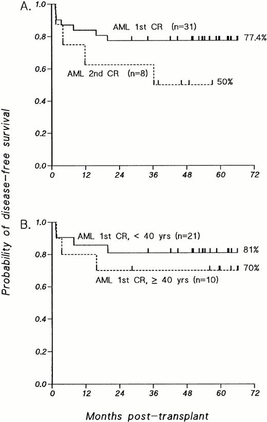 Fig. 1. Kaplan-Meier estimates of probability of DFS for patients transplanted with T-cell–depleted allografts for AML. (A) Patients with AML transplanted in first CR compared with those transplanted in second CR. (B) Patients with AML transplanted in first CR, analyzed according to age at time of BMT; P value was not significant.