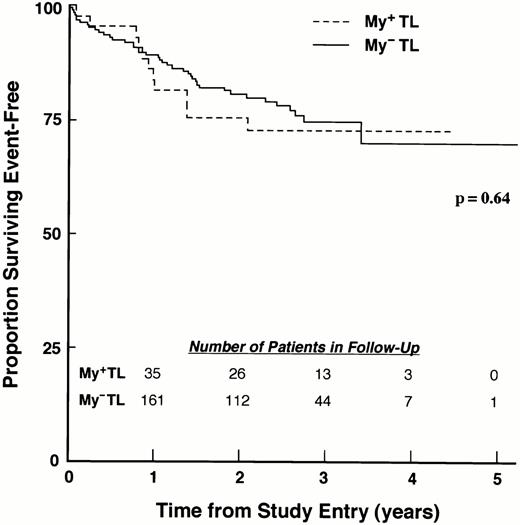 Fig. 3. Myeloid antigen expression in T-lineage ALL is not associated with poor EFS. EFS for My+ TL and MY− TL patients treated on the 1800 series of CCG protocols are shown. EFS values at designated points in follow-up are given in the text.
